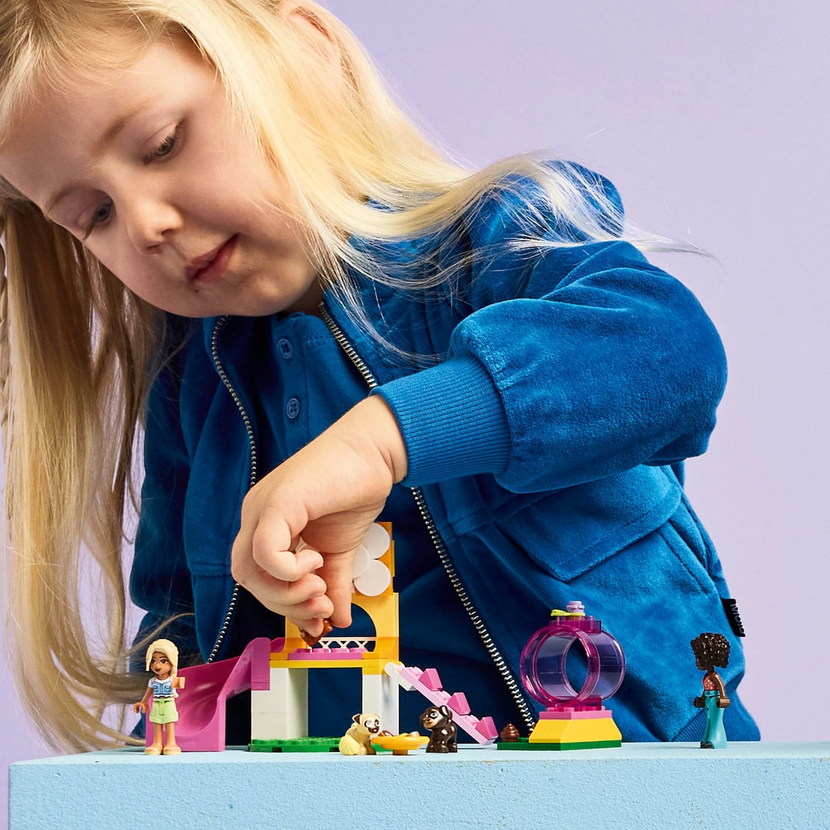 LEGO FRIENDS LOC DE JOACA PENTRU CATELUSI 42665