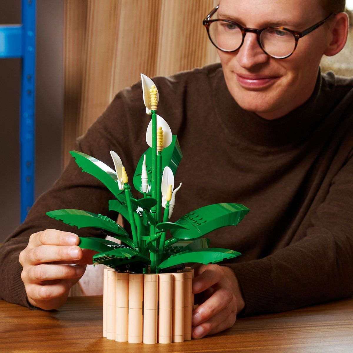 LEGO BOTANICALS CRINUL PACII 11504