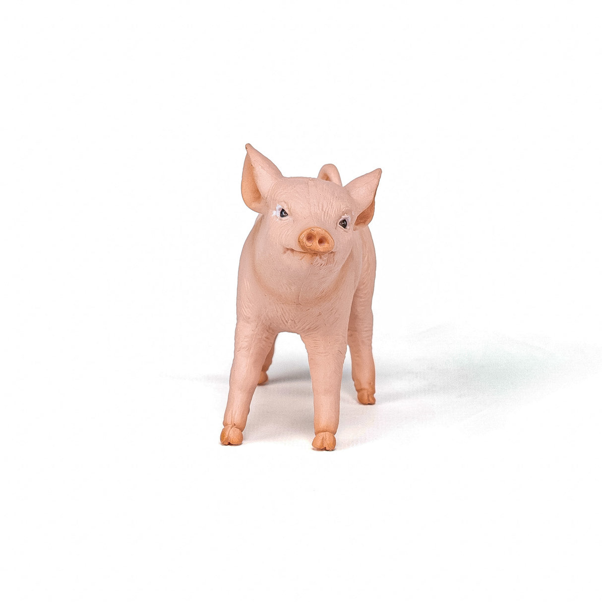 PAPO FIGURINA PURCICA