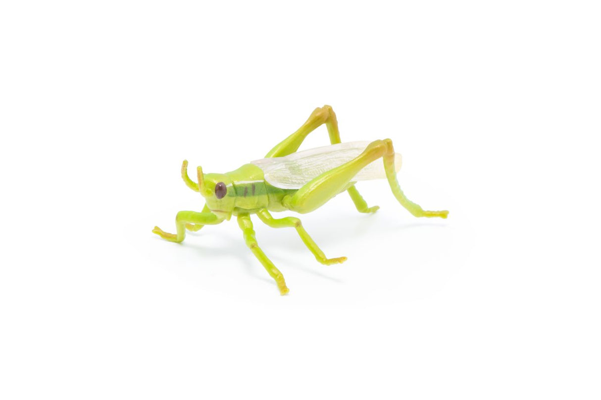 PAPO FIGURINA LACUSTA