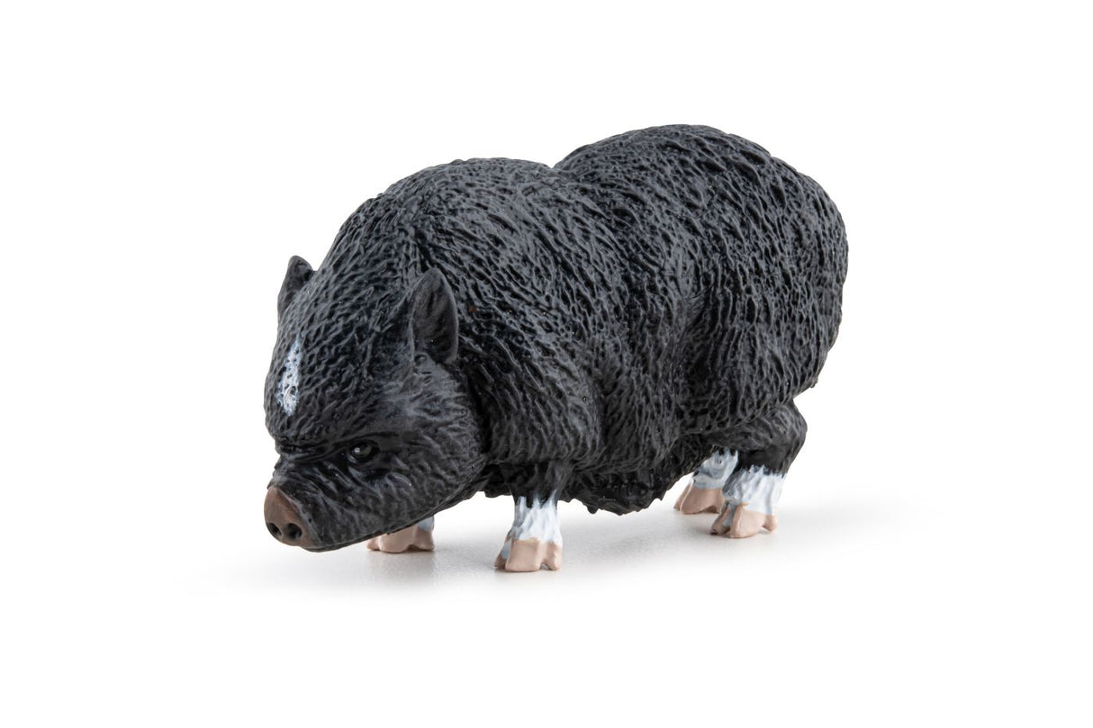 PAPO FIGURINA PORC VIETNAMEZ