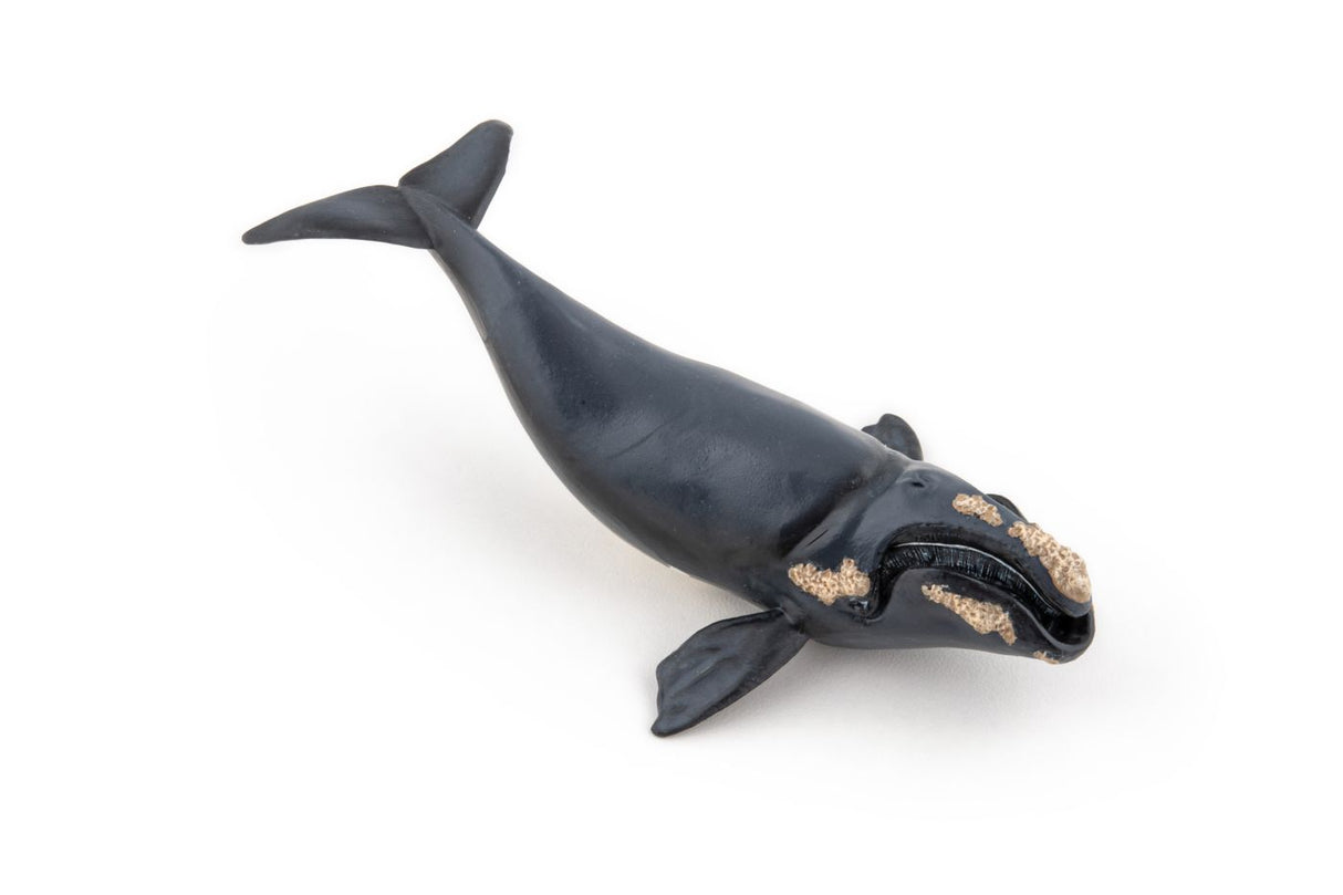 PAPO FIGURINA BALENA