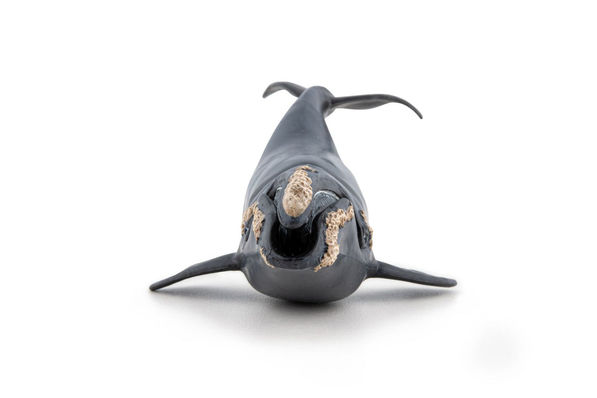 PAPO FIGURINA BALENA
