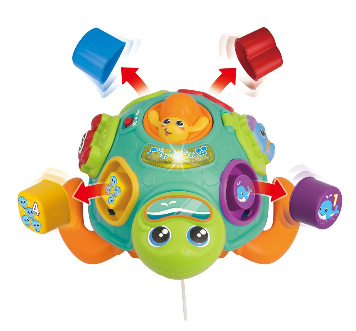 WINFUN JUCARIE DE TRAS TESTOASA CU FORME