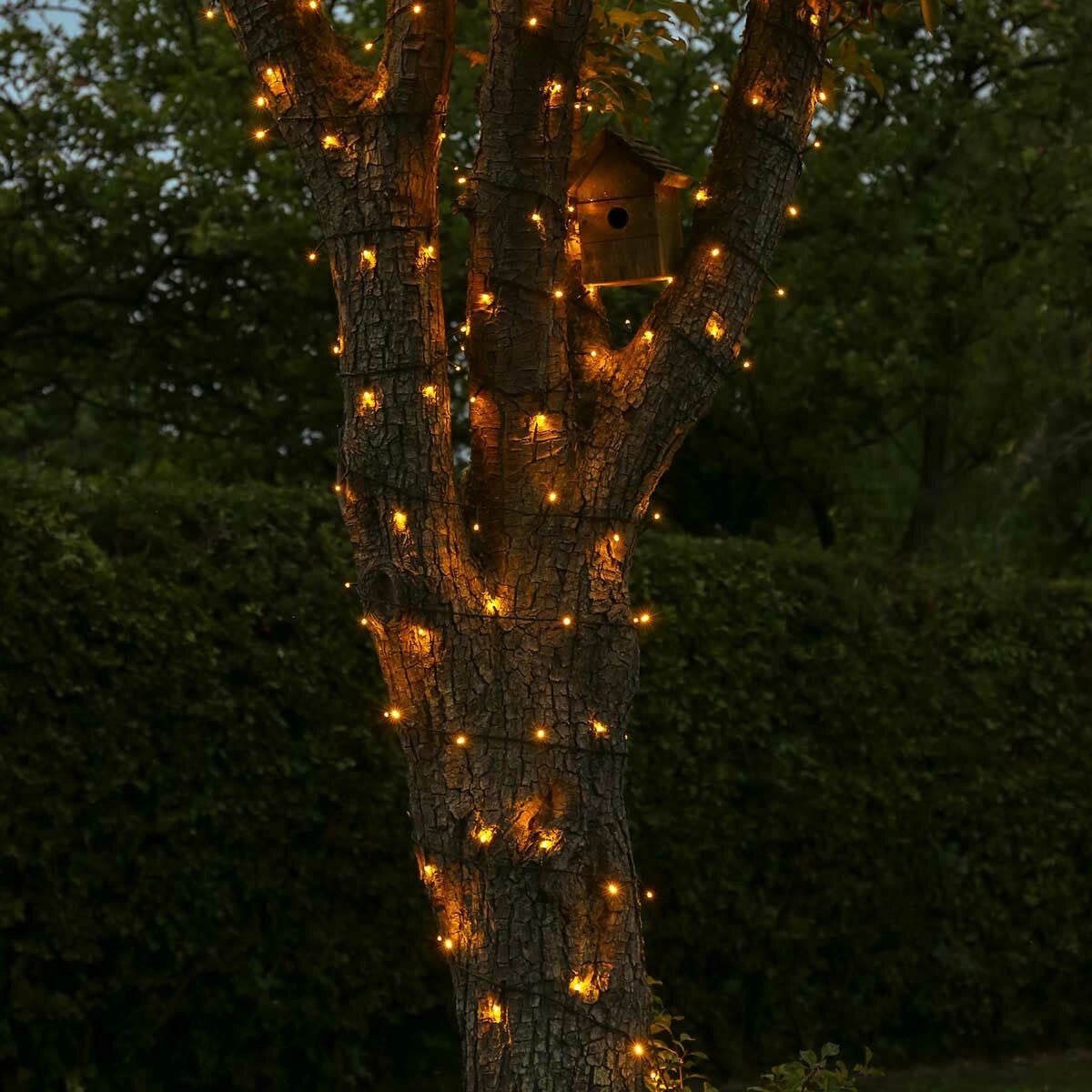 Instalatie de Craciun liniara Yoto, 24 m, din care 1 m cablu priza 220V, 300 LED, 8 jocuri de lumini, controler, fir negru, alb cald - vivimall.ro