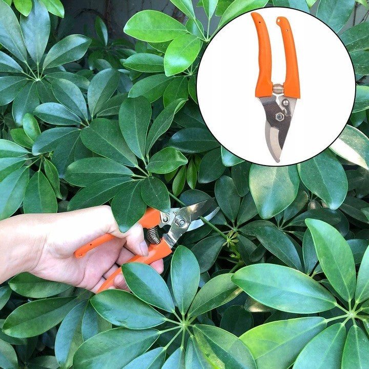 Set 12 Unelte de Gradina, Vivimall, pentru Plantare Prelucrare Sol si Ingrijire Plante, Manere Portocalii, Material PVC si Cardboard, Cutie Inclusa, 37x28 cm, Negru - vivimall.ro