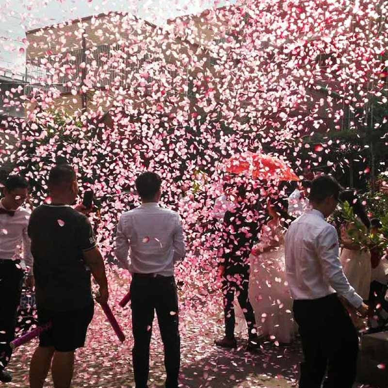 Tun Confetti, Flippy, Best Wishes, Confetti Inimioare si Paiete, 60 x 5 cm, Roz Auriu