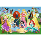 PUZZLE 100 PRINTESELE SARMANTE