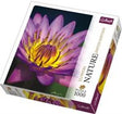 PUZZLE TREFL 1000 FLOARE IN DETALIU