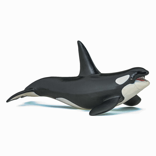 PAPO FIGURINA  BALENA UCIGASA