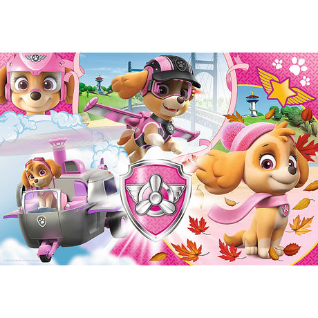 PUZZLE TREFL 100 SKYE IN ACTIUNE