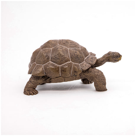 PAPO FIGURINA TESTOASA GALAPAGOS