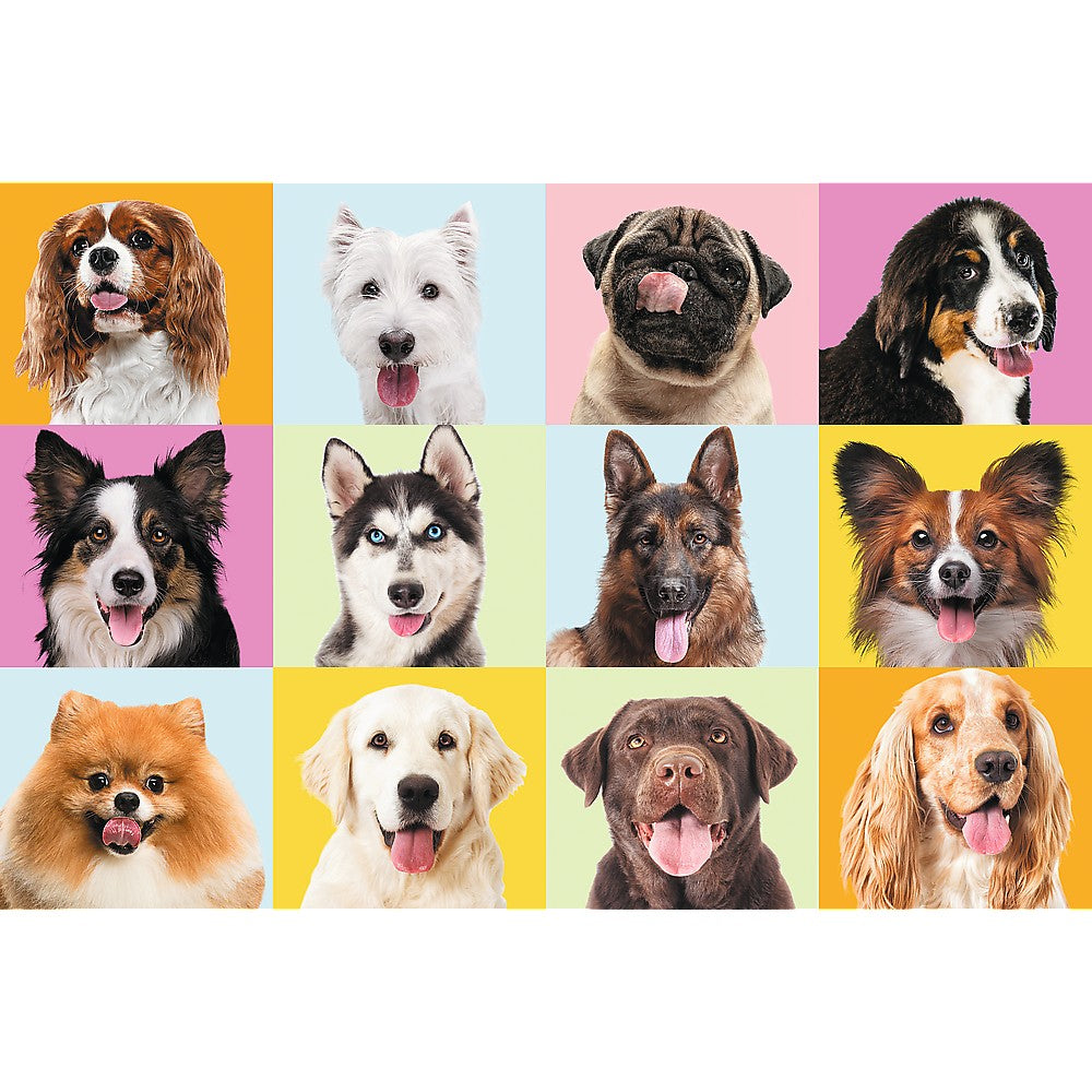 PUZZLE TREFL 60 CATEI DRAGUTI