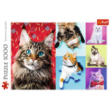 PUZZLE TREFL 1000 PISICUTE FERICITE