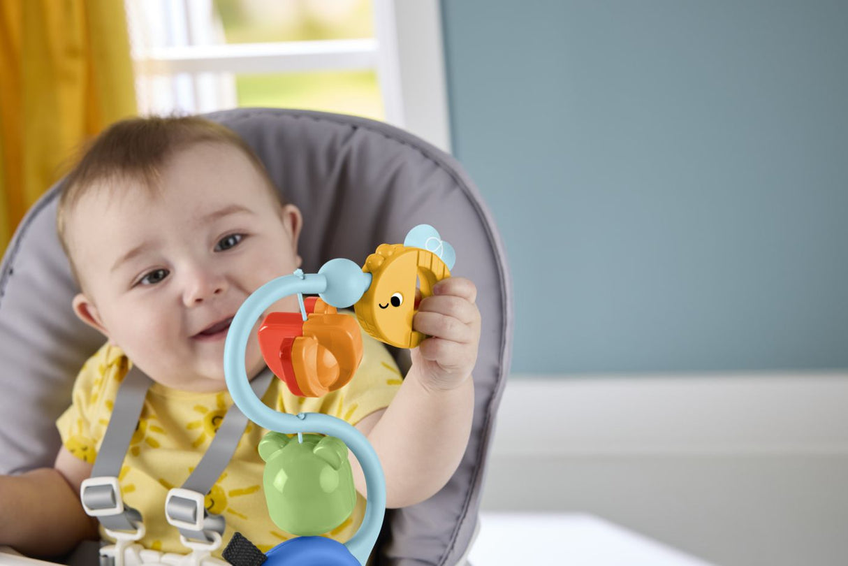 FISHER PRICE JUCARIE SENZORIALA CU VENTUZA
