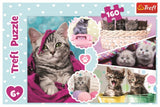 PUZZLE TREFL 160 PISICI DRAGALASE