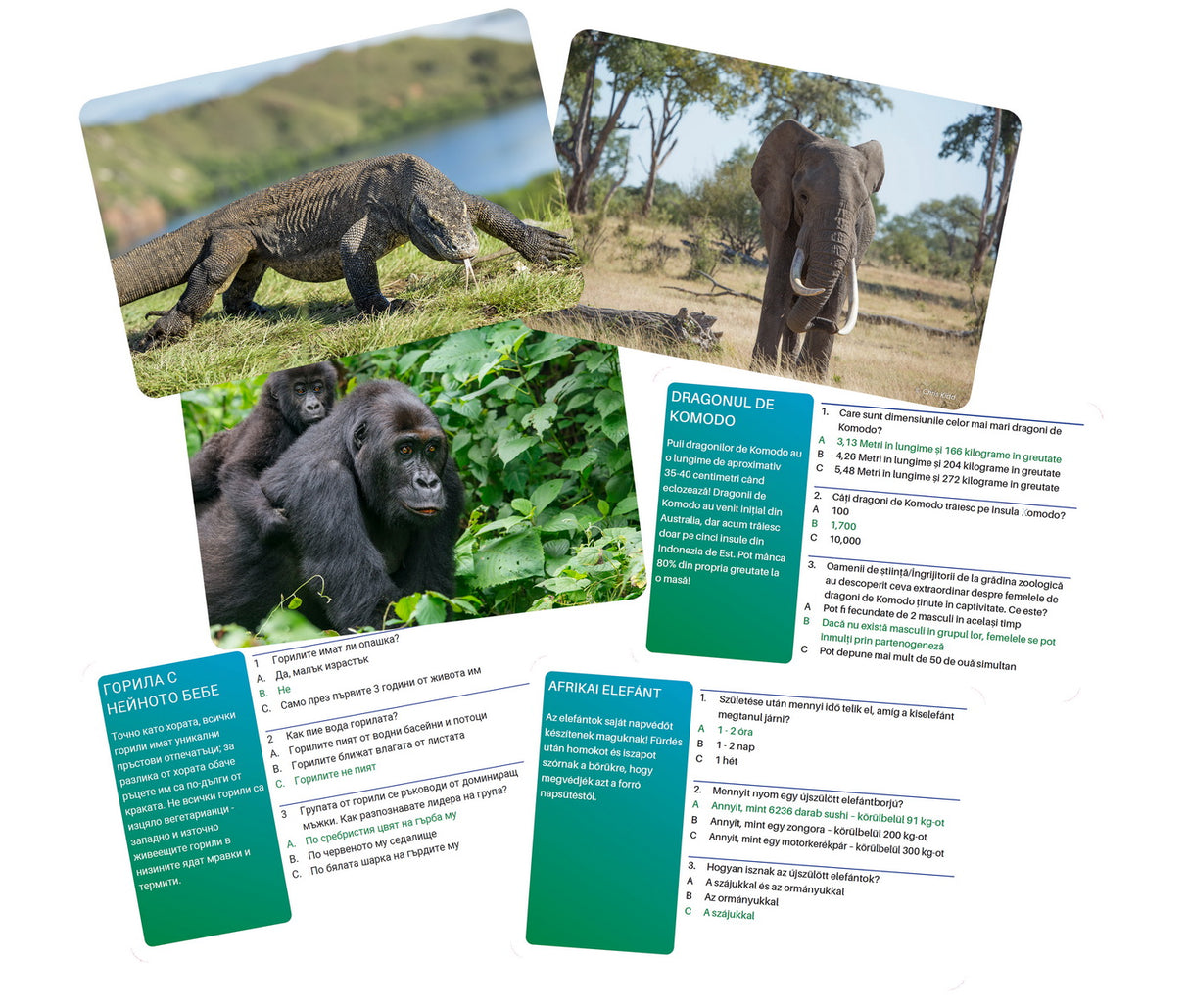 JOC INTERACTIV LUMEA ANIMALELOR IN LIMBA ROMANA