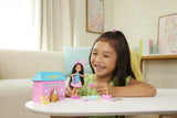 BARBIE FAMILY AND FRIENDS SET CLUBUL LUI CHELSEA ZI DE NASTERE