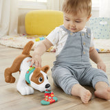 FISHER PRICE CATELUS CRAWL WITH ME