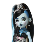 MONSTER HIGH ZIUA DE NASTERE DULCE SI INFRICOSATOARE PAPUSA FRANKIESTEIN CU ACCESORII