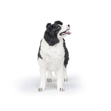 PAPO FIGURINA CATEL BORDER COLLIE