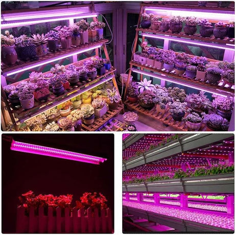 Lampa Pentru Cresterea Plantelor 50 Cm | PlantGlow 2 - vivimall.ro
