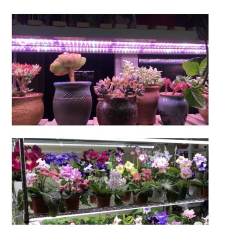Lampa Pentru Cresterea Plantelor 50 Cm | PlantGlow 2 - vivimall.ro