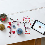LEGO BOTANICAL COLLECTION FLORI DE PRUN 10369