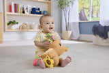 FISHER PRICE JUCARIE SENZORIALA CAPIBARA