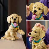 LEGO ICONS CATELUS GOLDEN RETRIEVER 11384