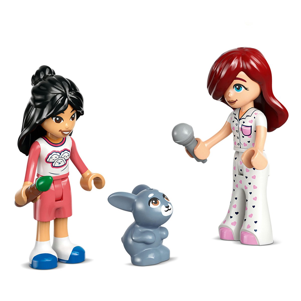 LEGO FRIENDS CAMERA LUI PAISLEY 42647