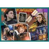 PUZZLE TREFL 10IN1 HARRY POTTER IN LUMEA LUI HARRY POTTER