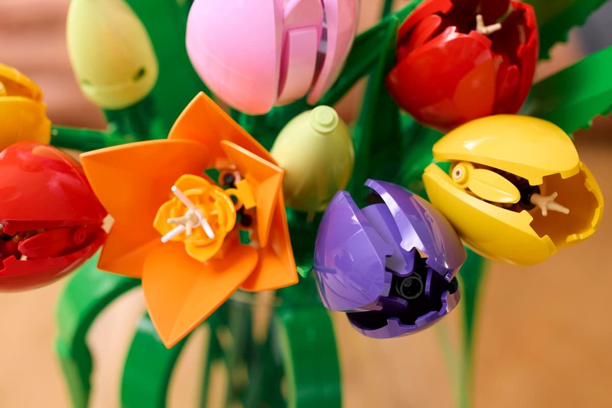 LEGO BOTANICALS BUCHET DE LALELE 11501