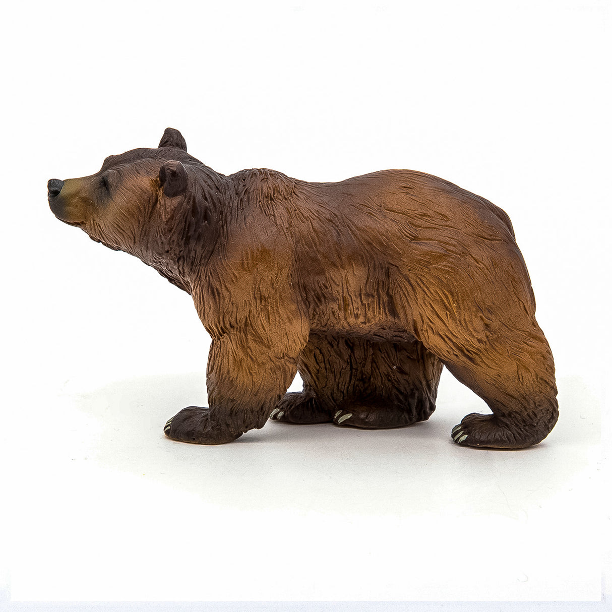 PAPO FIGURINA URS PIRINEI