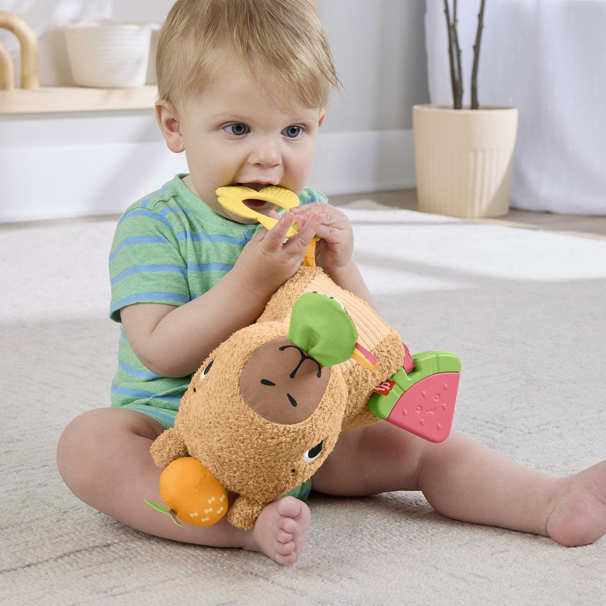 FISHER PRICE JUCARIE SENZORIALA CAPIBARA