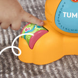 FISHER PRICE TIGRU INTERACTIV