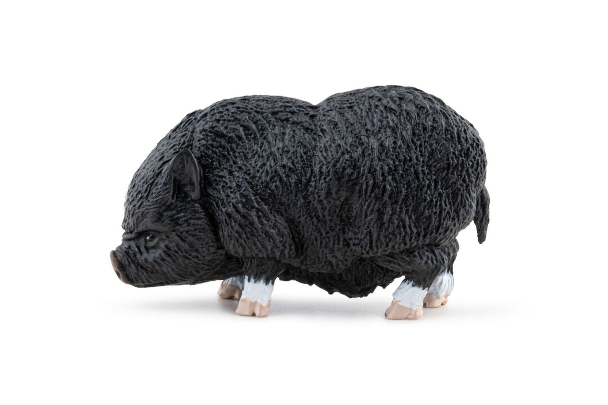 PAPO FIGURINA PORC VIETNAMEZ