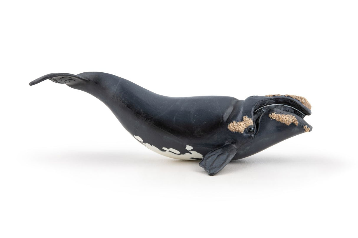 PAPO FIGURINA BALENA