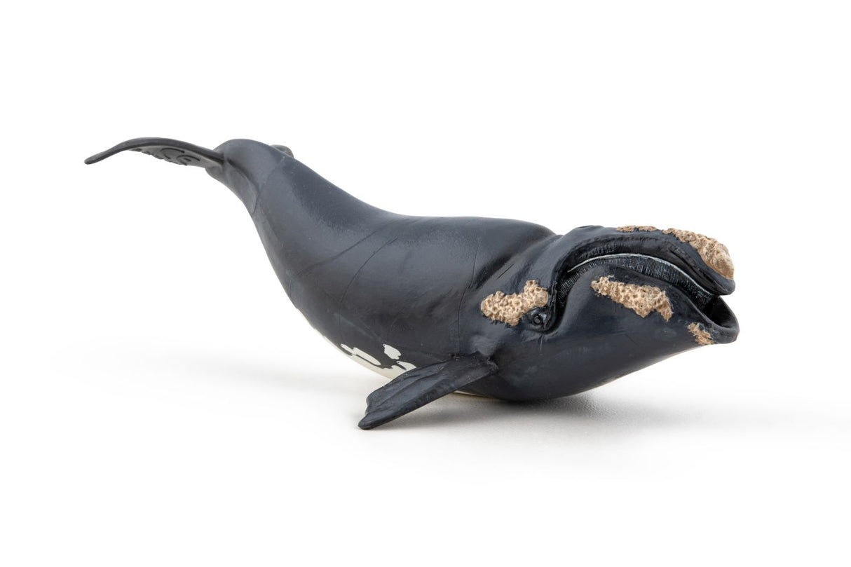 PAPO FIGURINA BALENA