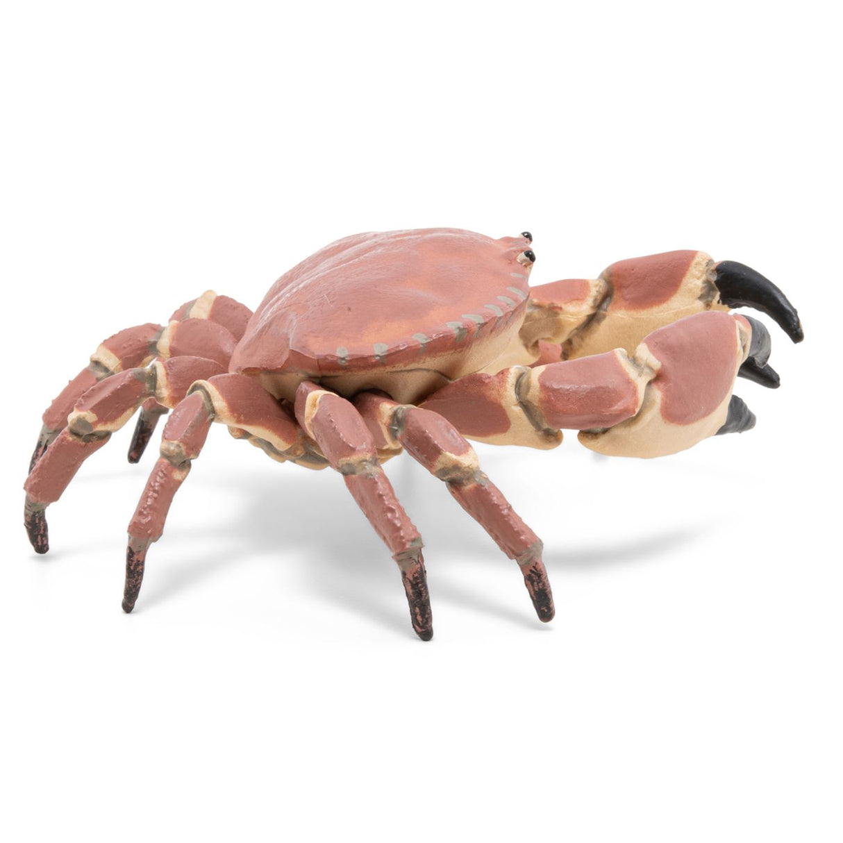 PAPO FIGURINA CRAB
