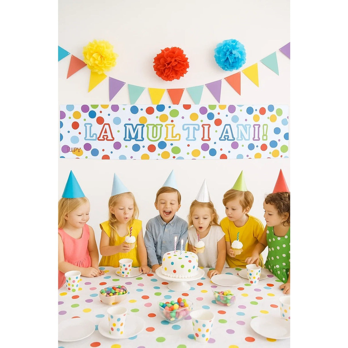Banner Aniversar, Vivimall, Colectie LA MULTI ANI, 98 x 24 cm, Multicolor - vivimall.ro
