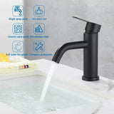 Baterie Lavoar, Inox Sus304 - vivimall.ro