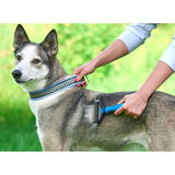 Pieptene Pentru Päƒrul De Animale, Dispozitiv De Ãžngrijire Cu Douäƒ Feè›E, Ãžndepäƒrtarea Päƒrului - vivimall.ro
