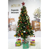 Brad artificial de Craciun, clasic, pentru interior/exterior, inaltime 210 cm, diametru 106 cm, 663 ramuri, Flippy, verde, suport metalic inclus - vivimall.ro