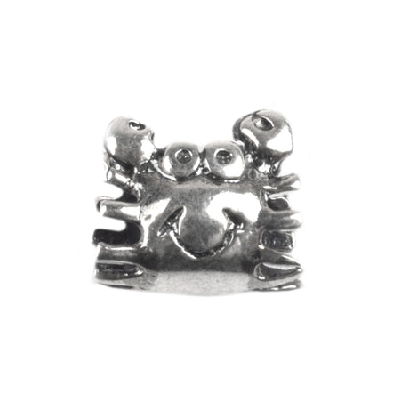 Charm Din Argint 925 Rac