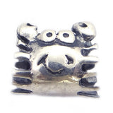 Charm Din Argint 925 Rac