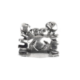 Charm Din Argint 925 Rac