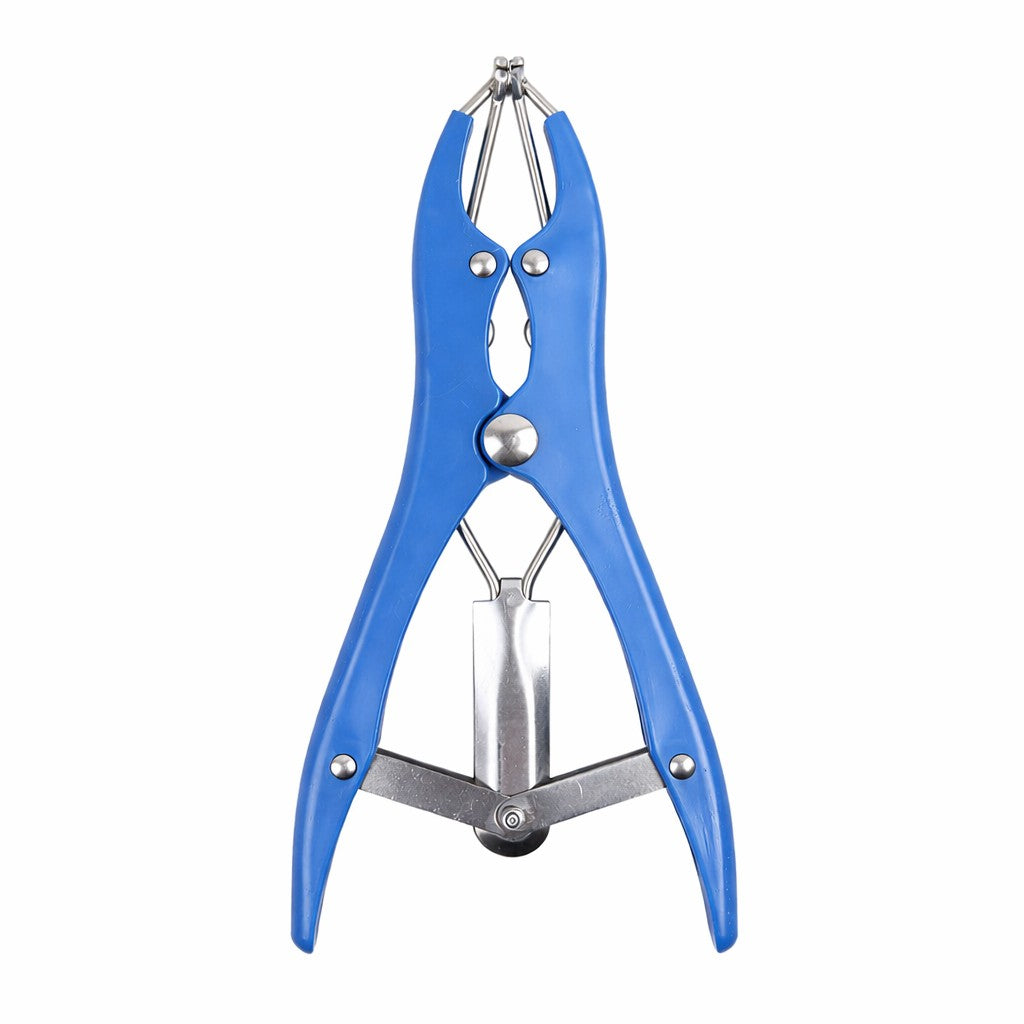 Cleste Pentru Castrarea Animalelor, Flippy, Set Cu 1000 Inele Elastice, Control Temperatura 40 Grade, 3.5 W, 15 x 6 cm, Albastru - vivimall.ro