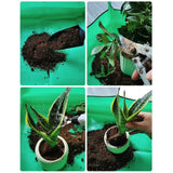 Covoras de Gradinarit, Vivimall, pentru Cultivarea Plantelor si Schimbarea Solului, din Panza Ingrosata, 50x50 cm, Pliabil, Verde - vivimall.ro