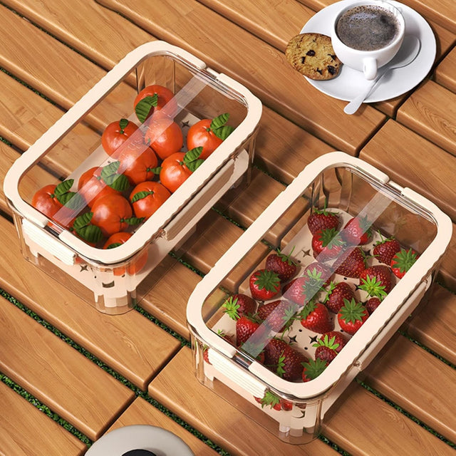 Cutie alimentară cu sistem de răcire și organizare | CoolTray - vivimall.ro